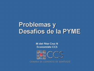 Problemas y Desafos de la PYME