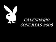 CALENDARIO conejitas 2008