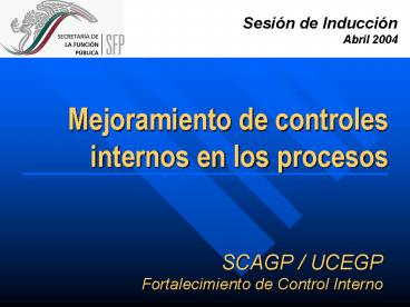 SCAGP UCEGP Fortalecimiento de Control Interno