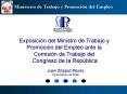 Exposicion del 280305 PowerPoint PPT Presentation