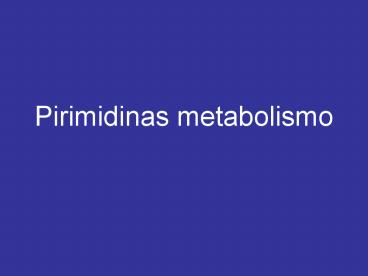 Pirimidinas metabolismo