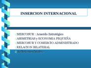 INSERCION INTERNACIONAL