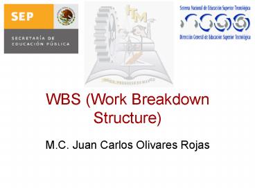 WBS Work Breakdown Structure