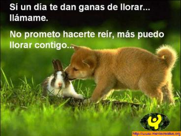 LLAMAME puede ser que lo necesite, llamar, compa