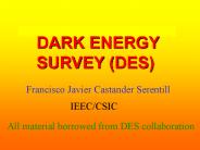 DARK ENERGY SURVEY (DES)