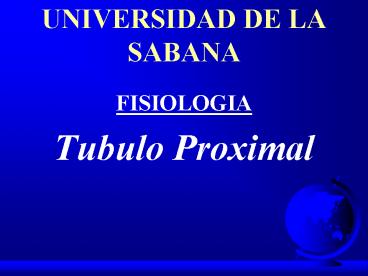 UNIVERSIDAD DE LA SABANA