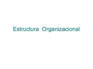 Estructura Organizacional