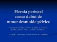 Hernia perineal como debut de tumor desmoide p PowerPoint PPT Presentation