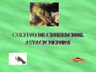 Presentacin de PowerPoint