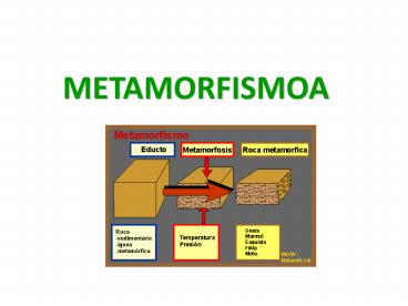 METAMORFISMOA