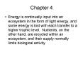 Energy is continually input into an ecosystem in the form of light energy, and some energy is lost w PowerPoint PPT Presentation