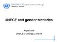 UNECE and gender statistics PowerPoint PPT Presentation