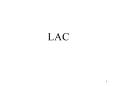LAC PowerPoint PPT Presentation