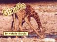 Giraffe PowerPoint PPT Presentation