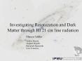 Investigating Reionization and Dark Matter through HI 21 cm line radiation PowerPoint PPT Presentation