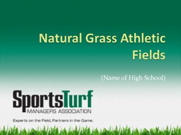 Natural Grass Athletic Fields