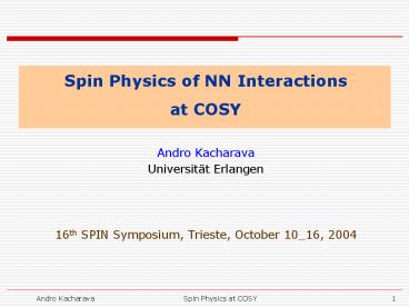Spin Physics of NN Interactions