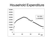 Household Expenditure