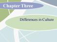 Differences in Culture PowerPoint PPT Presentation