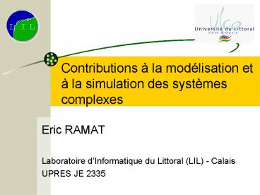 Contributions la modlisation et la simulation des systmes complexes