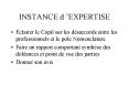 INSTANCE dEXPERTISE PowerPoint PPT Presentation
