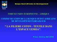 FORUM UNION EUROPEENNE AFRIQUE COMMUNICATION DE LA BANQUE OUEST AFRICAINE DE DEVELOPPEMENTBOAD SUR L PowerPoint PPT Presentation