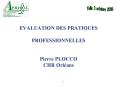 EVALUATION DES PRATIQUES  PROFESSIONNELLES  Pierre PLOCCO CHR Orl PowerPoint PPT Presentation