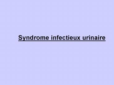 Syndrome infectieux urinaire