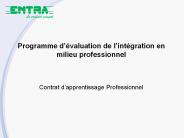 Programme dvaluation de lintgration en milieu professionnel