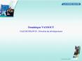 Dominique VASSOUT PowerPoint PPT Presentation