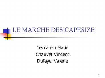 LE MARCHE DES CAPESIZE