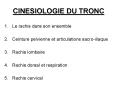 CINESIOLOGIE DU TRONC PowerPoint PPT Presentation