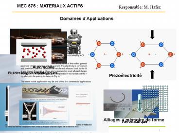 Responsable: M' Hafez