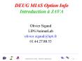 DEUG MIAS Option Info Introduction JAVA PowerPoint PPT Presentation