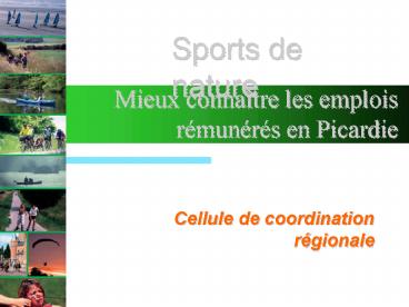 Cellule de coordination rgionale