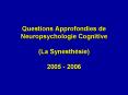 Questions Approfondies de Neuropsychologie Cognitive La Synesthsie 2005 2006 PowerPoint PPT Presentation