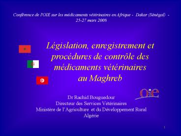 Aucun titre de diapositive