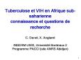 Tuberculose et VIH en Afrique sub-saharienne connaissance et questions de recherche  C. Danel, X. Anglaret INSERM U593, Universit PowerPoint PPT Presentation