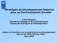 Stratgies de Dveloppement National pour un Environnement Durable PowerPoint PPT Presentation
