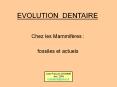 EVOLUTION DENTAIRE PowerPoint PPT Presentation