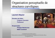 Organisation perceptuelle de structures curvilignes