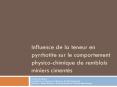 Influence de la teneur en pyrrhotite sur le comportement physico-chimique de remblais miniers ciment PowerPoint PPT Presentation