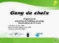 Gang de choix PowerPoint PPT Presentation