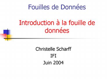 Fouilles de Donn