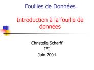 Fouilles de Donn