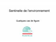 Sentinelle de l'environnement