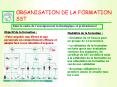 ORGANISATION DE LA FORMATION SST PowerPoint PPT Presentation