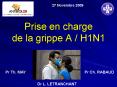 Prise en charge de la grippe A H1N1 PowerPoint PPT Presentation