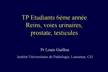 TP Etudiants 6me anne Reins, voies urinaires, prostate, testicules