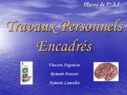 Travaux Personnels Encadr